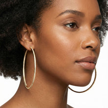 Load image into Gallery viewer, Hoop 18K Gold Steel Inside Out Rhinestone Earrings