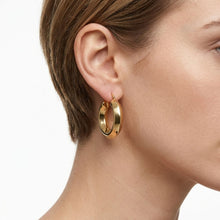 Load image into Gallery viewer, Hoop 18K Gold Stainless Steel Beveled Earrings