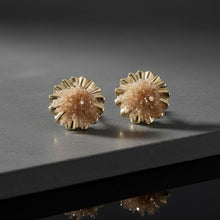 Load image into Gallery viewer, Stud Brown Bead Cluster Wavy Gold Round Earrings
