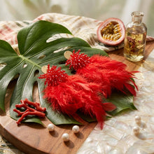 Load image into Gallery viewer, Red Beaded Cluster Long Feather Drop Earrings
