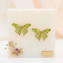 Load image into Gallery viewer, Stud Green Winged Butterfly Free Spirit Earrings
