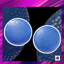 Load image into Gallery viewer, Artisan Collection - Blue Metallic Button Earrings
